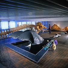 Gothenburg Museum of Natural History